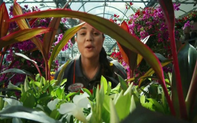 What is the song in the Home Depot Spring Projects commercial?