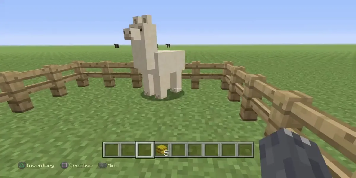 Wie züchtet man Lamas in Minecraft?