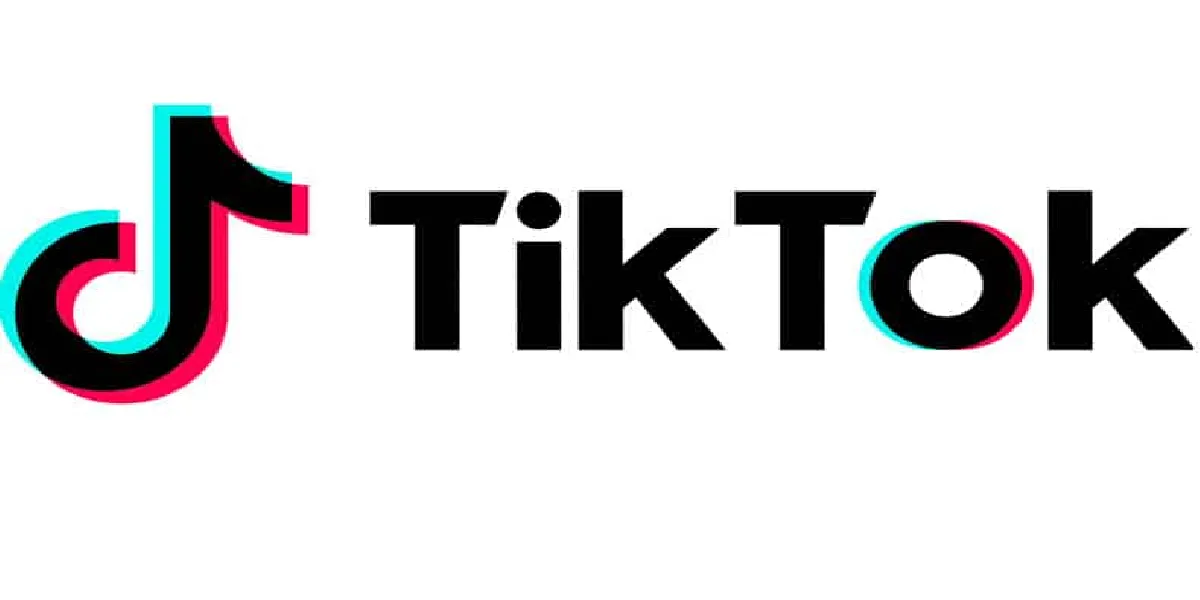 How to delete TikTok search history