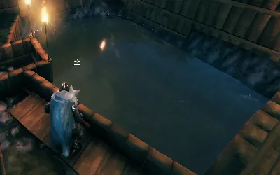 Comment obtenir Tetra à Valheim