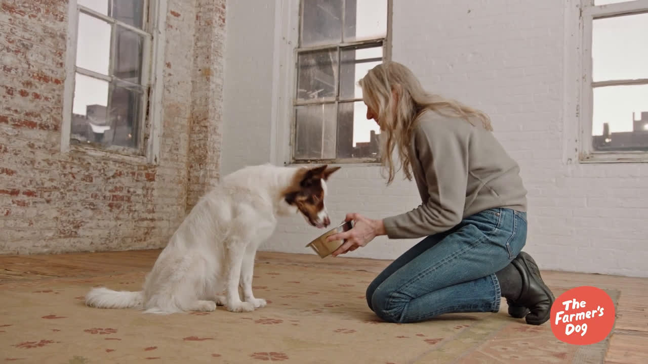 the farmer's dog ads