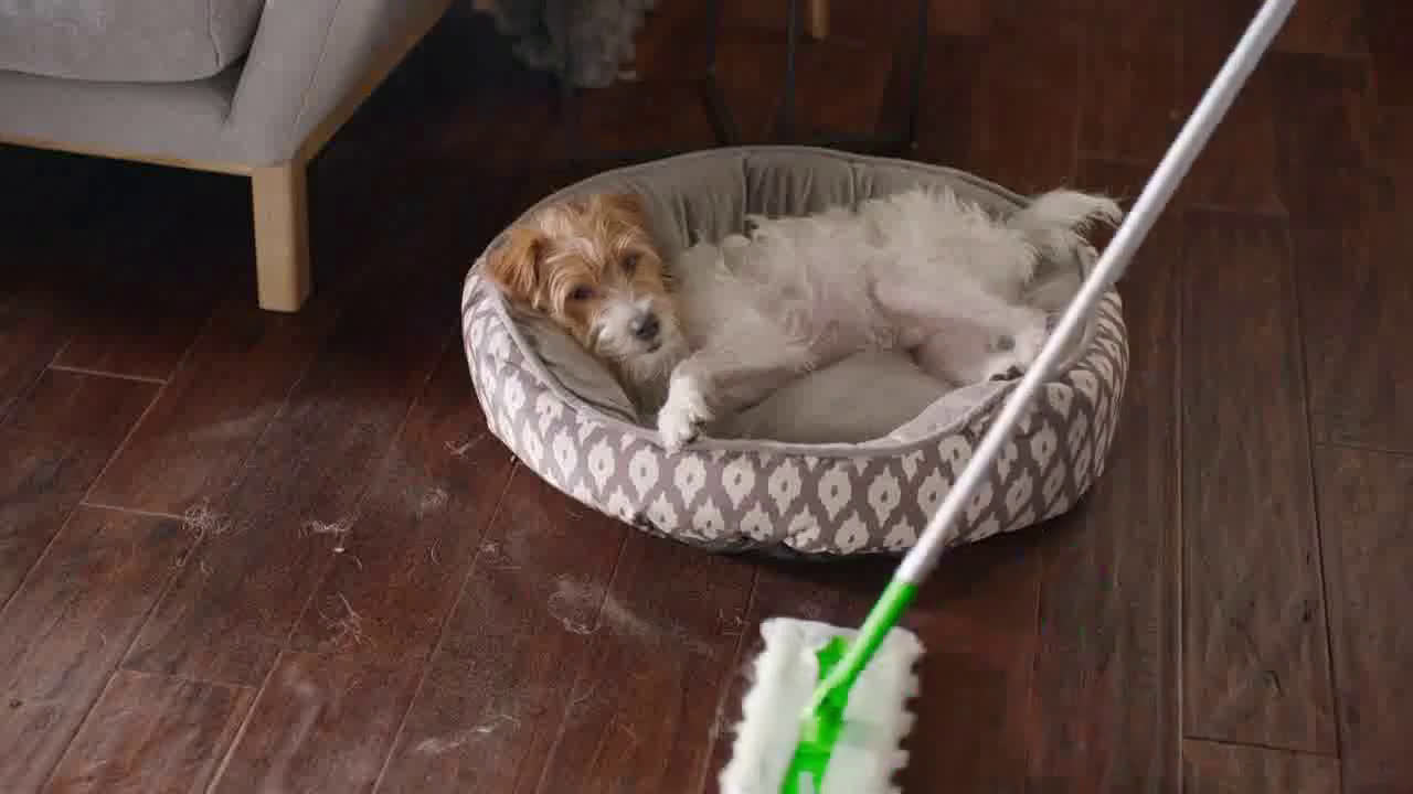  Sweeper Dry Heavy Duty - Confesiones de limpieza con Mia