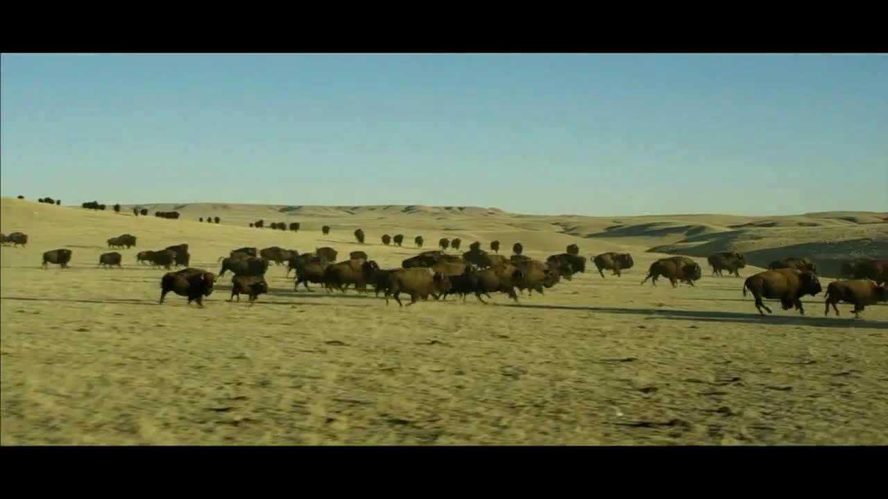  Summer Clearance - Awakening Song by Ryan Taubert