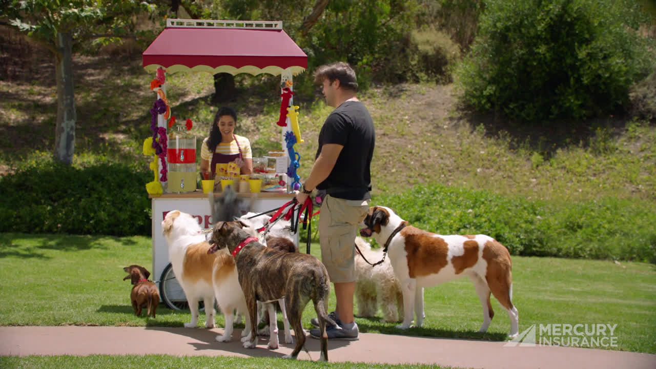 Mercury Insurance Dog Walker Ad Commercial on TV
