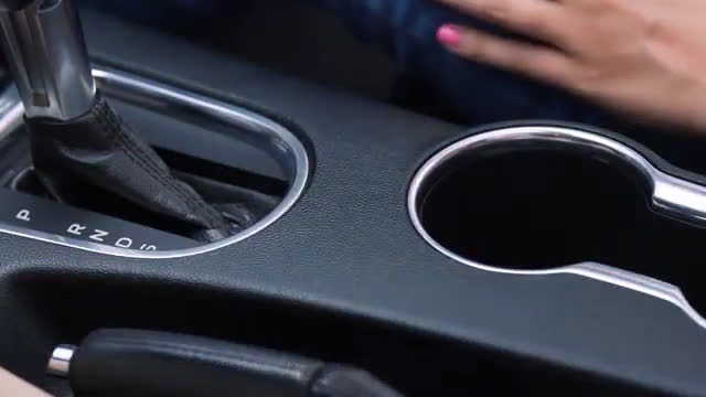  Commercial: Family Road Trip