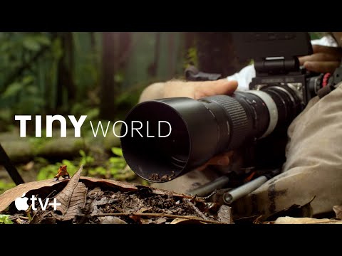  Tiny World — Behind the Scene