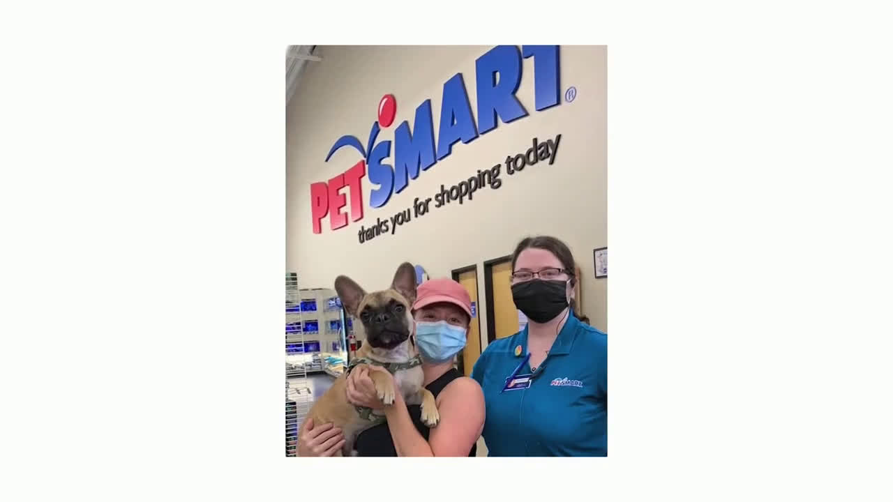 PetSmart Thank You Ad Commercial on TV