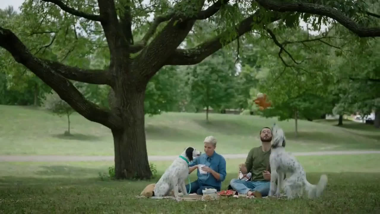 chewy commercial puppy