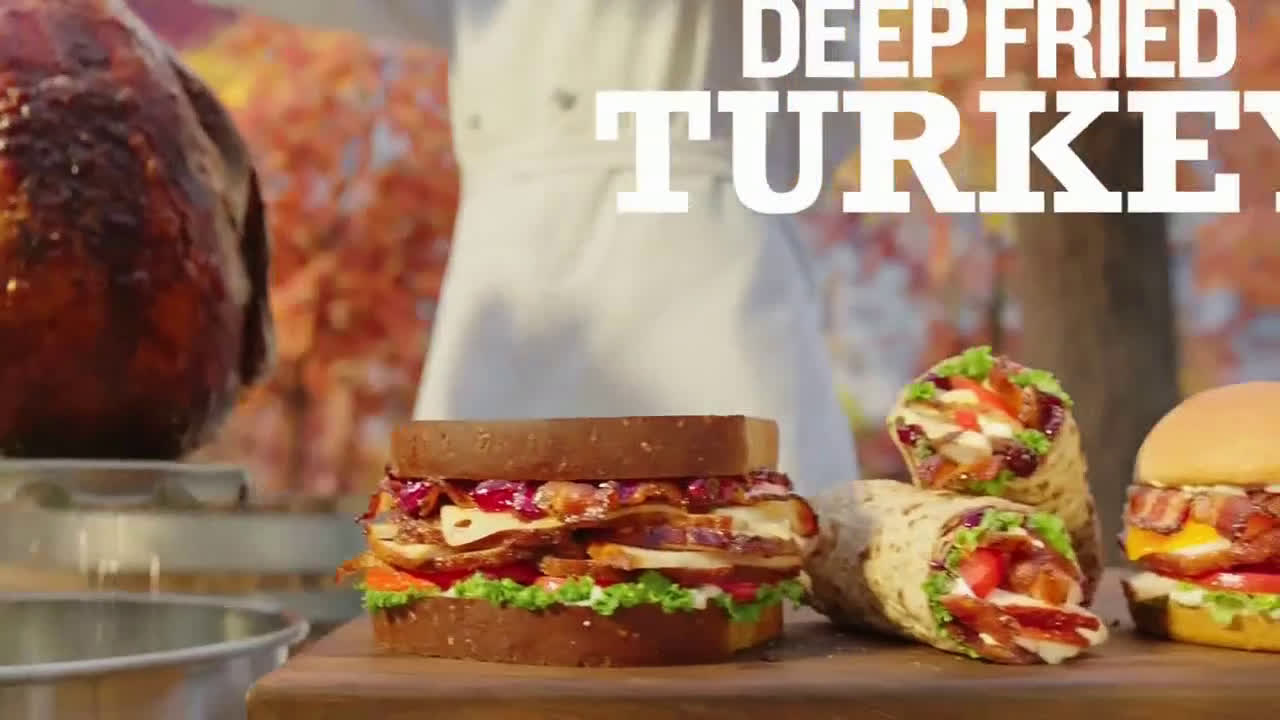  Deep Fried Turkey - Dry and Underwhelming' Song by YOGI