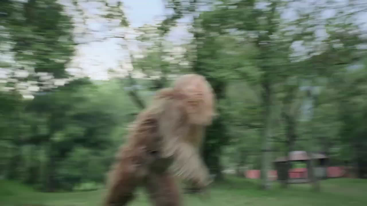 Jack Link's Messin' With Sasquatch Drone Commercial Ad Commercial on TV