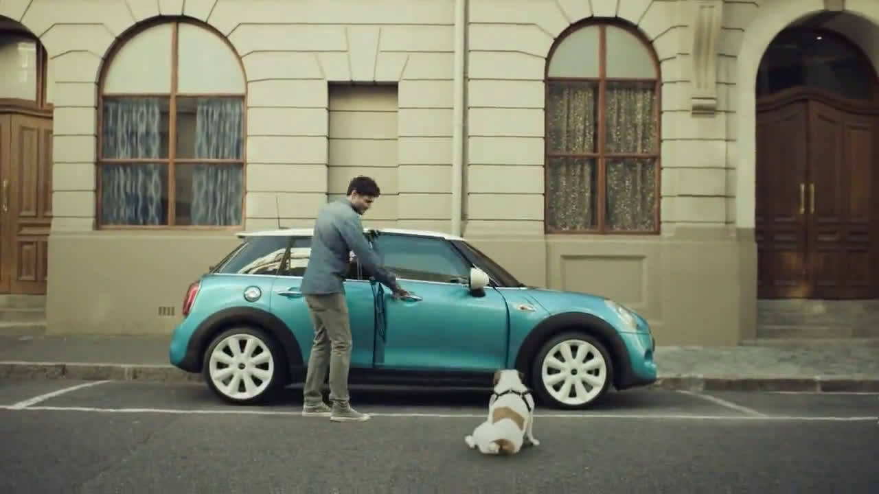  The dog in the front post