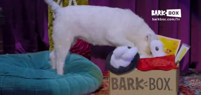 barkbox commercial