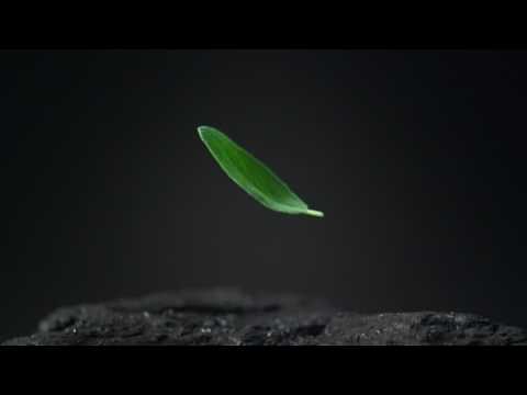  Men+Care Elements Range: Minerals + Sage - Men's Body Wash, Deodorant, and Shampoo 