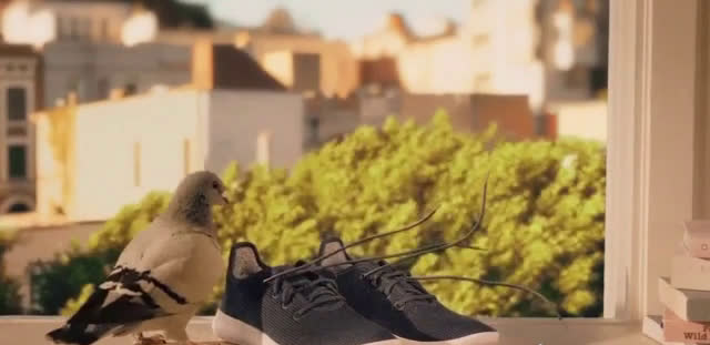 allbirds commercial 2021