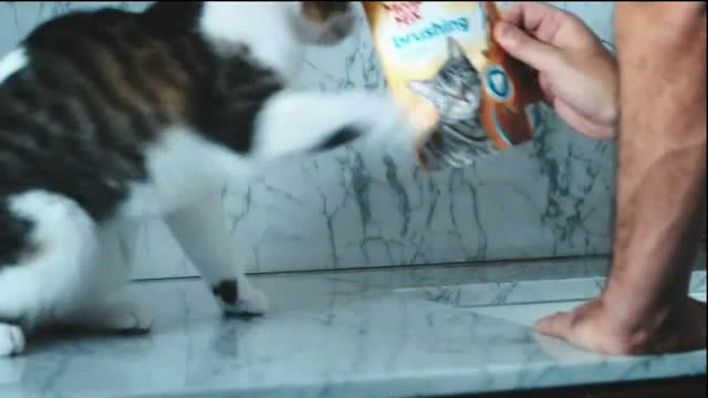 meow mix standing cat commercial