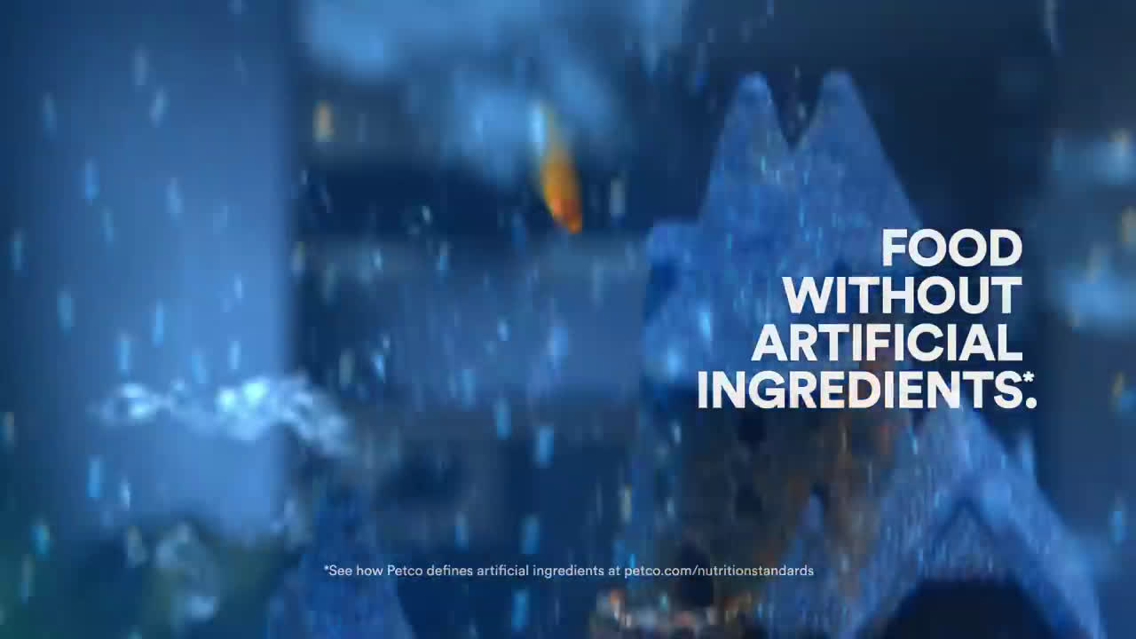 Petco It S What We D Want If We Were Pets Food Without Artificial Ingredients Petco Nutrition Ad Commercial On Tv 2021