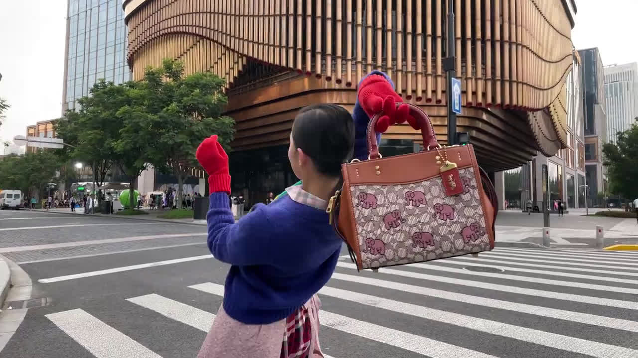  Xiao Wen Ju | The Rogue Bag