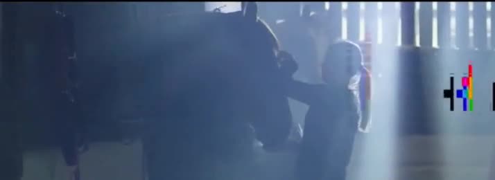 Longines Master Collection - 'Elegance'