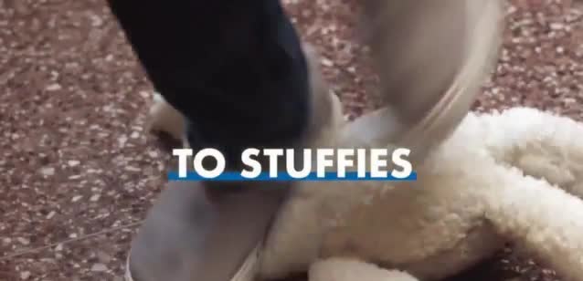  The girl in the sweatshirt