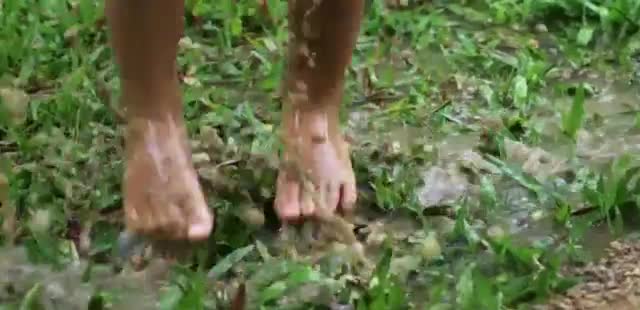  'Repair the Wear and Tear'