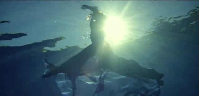  Season of Speed Event - 'Near Life Experience: Stelvio'