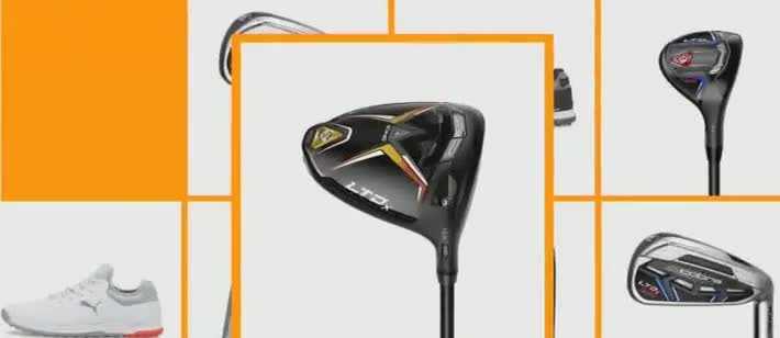  'Incredible: Cobra and Puma'