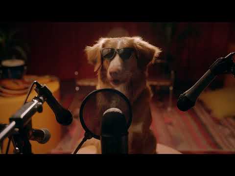  “Wanna Go For A Walk” – The Lucky Doggos