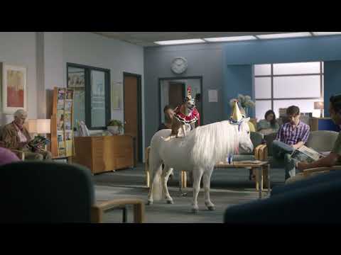  FOR BUSINESS I “Dog Pony”