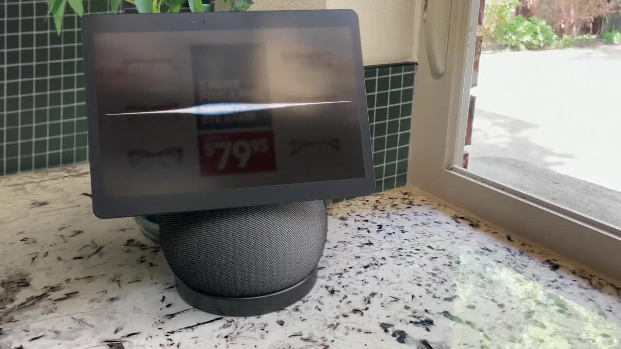  Owl with glasses talking through the window