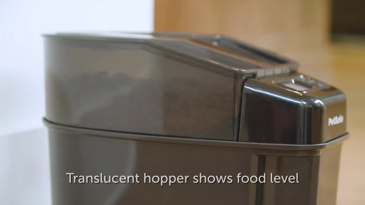  Schedule Your Pet's Meals with the Healthy 