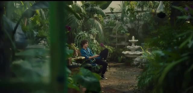 Apple TV+ 'Ladybug with Timothée Chalamet'