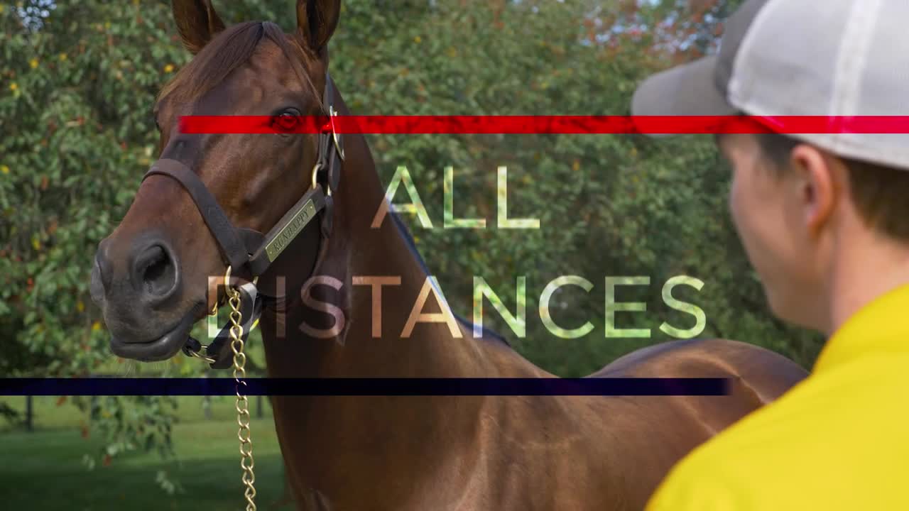 Claiborne Farm Runhappy Smile Happy March 2023