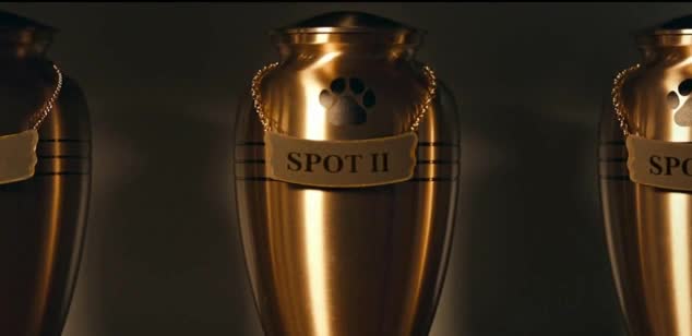 Xfinity Couple talks about their pets' ashes