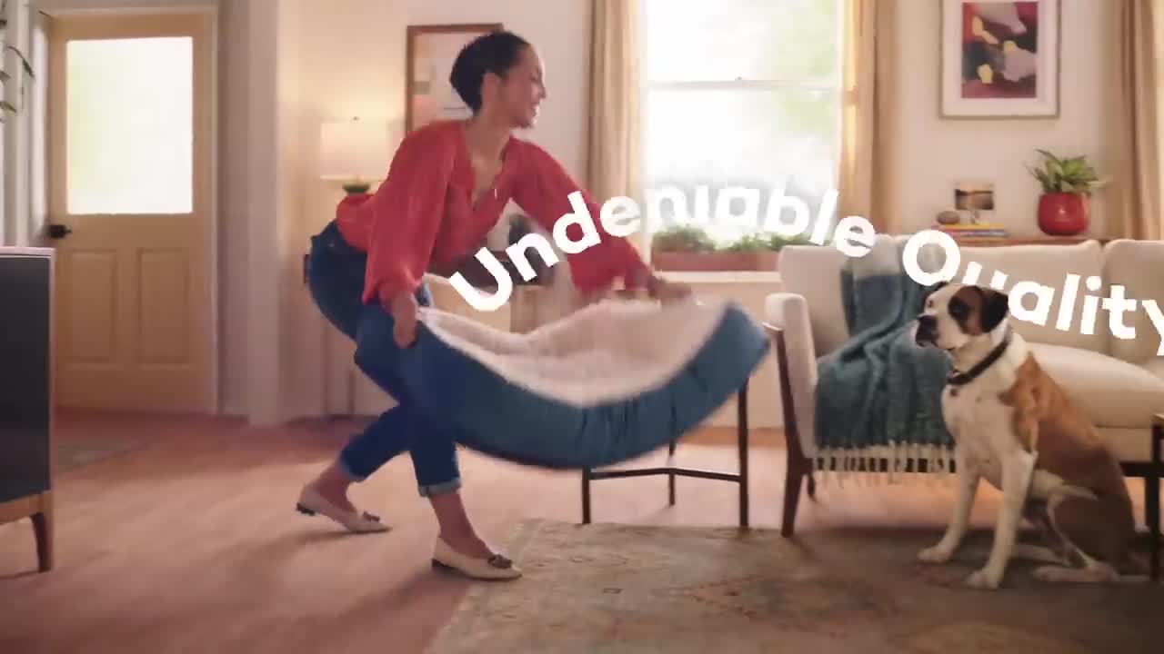 HomeGoods Pure Joy For Your Pet, Priced Right