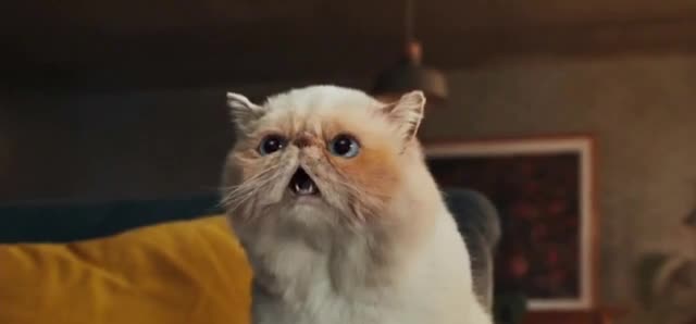  'More Wow Than Ever'