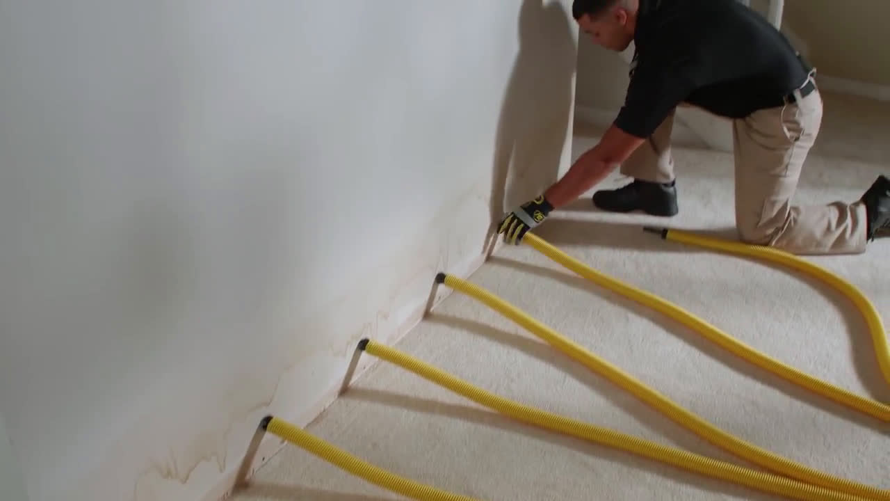 Stanley Steemer Water Restoration Did You Know Ad Commercial on TV