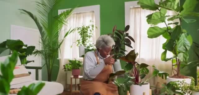  'Prueba por 100 dias sin riesco'