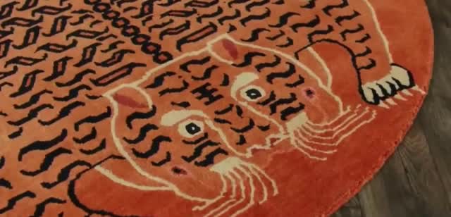 iRobot Carpet with a painted tiger