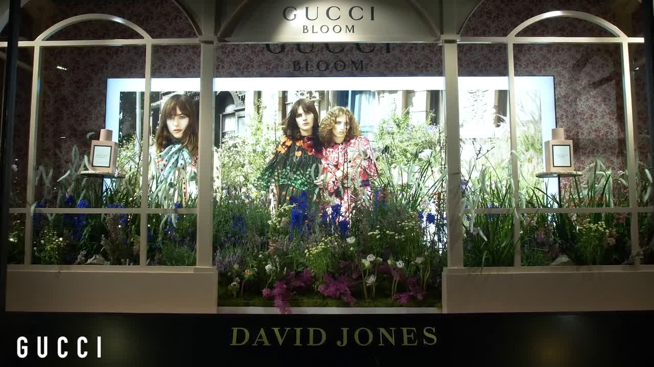 gucci bloom david jones
