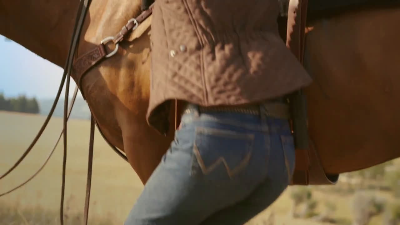 WeatherTech Horse Country Ad Commercial on TV