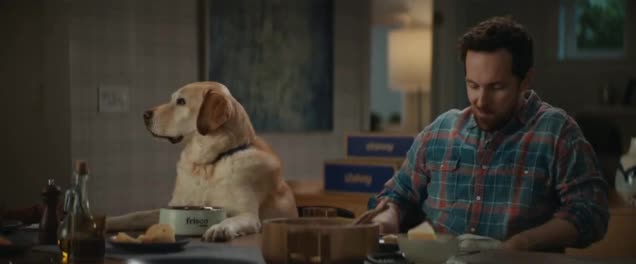 Chewy.com eating with the dog