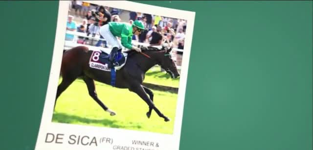 Claiborne Farm 'Demarchelier: Picture Perfect'