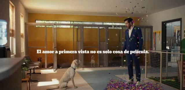 Pedigree I do not imagine my life without you