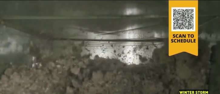 Stanley Steemer 'Right Now: $55 Off'