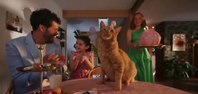 Macy´s Woman buys a dress for her cat's birthday