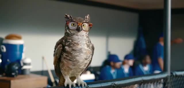 America's Best Contacts & Eyeglasses 'You Need Your Eyes Checked: 40% Off'