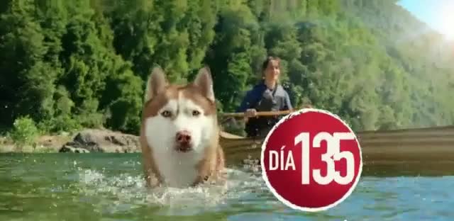  True Instinct 'Diferencias cada día'