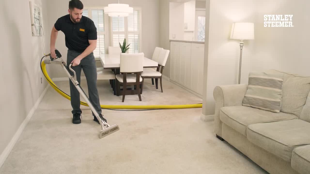 Stanley Steemer Deep Carpet Cleaning Beyond the Surface!