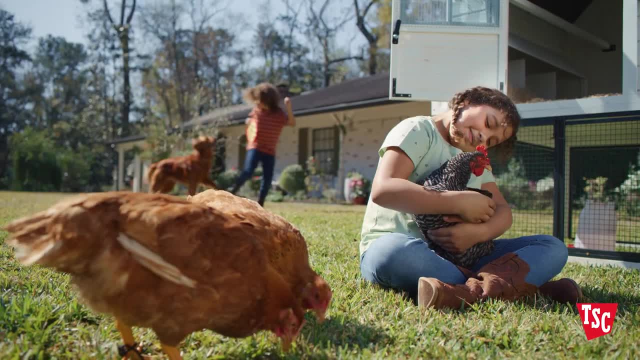 Tractor Supply Co Raise Your Backyard Flock with Help from Tractor Supply