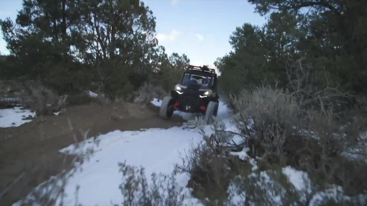 Maxxis Tires Carnivore RT